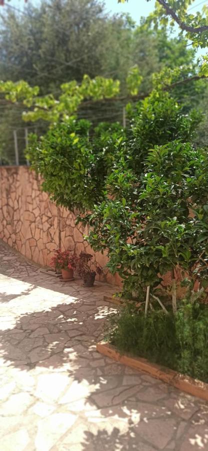 Villa Family Bitri Piqeras Kültér fotó