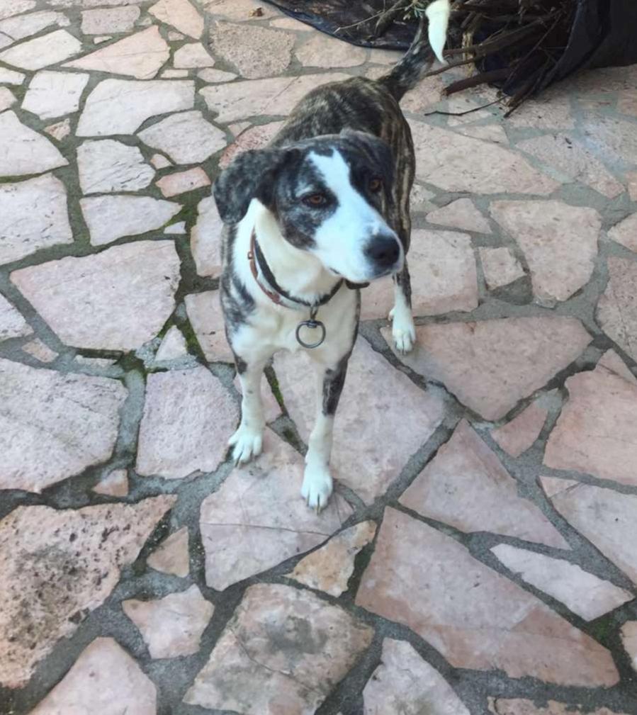 Villa Family Bitri Piqeras Kültér fotó